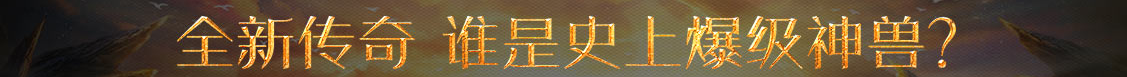 经济网策略研究